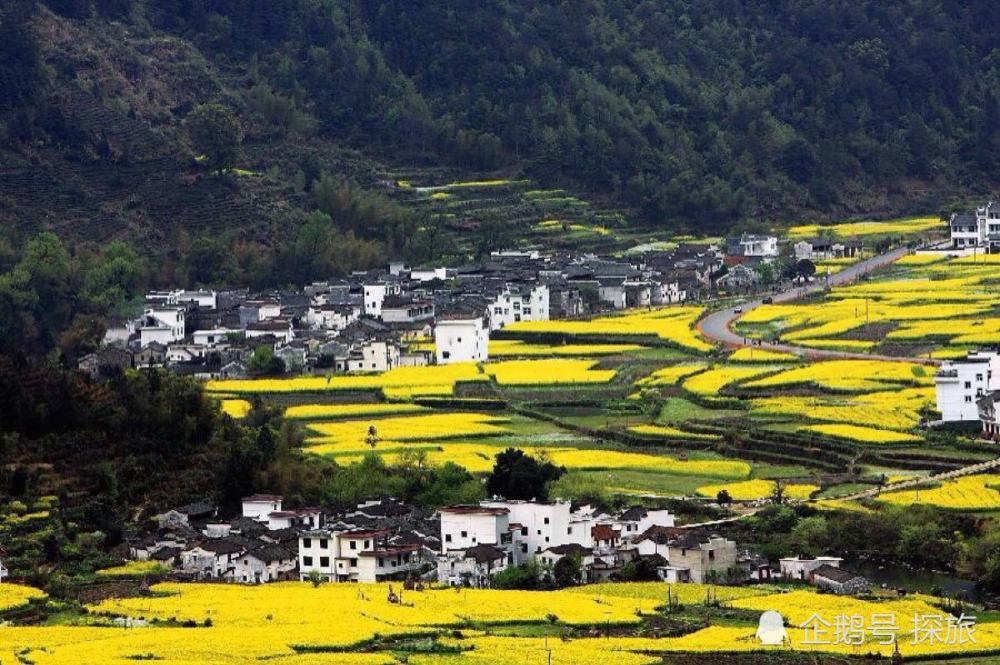 江西，红色摇篮，绿色家园，播音稿颂扬之地